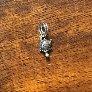 Silver Turtle charm